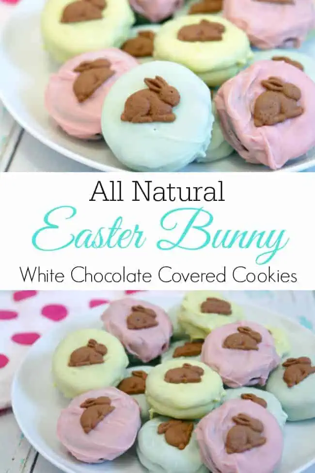 easter bunny cookies pin 2