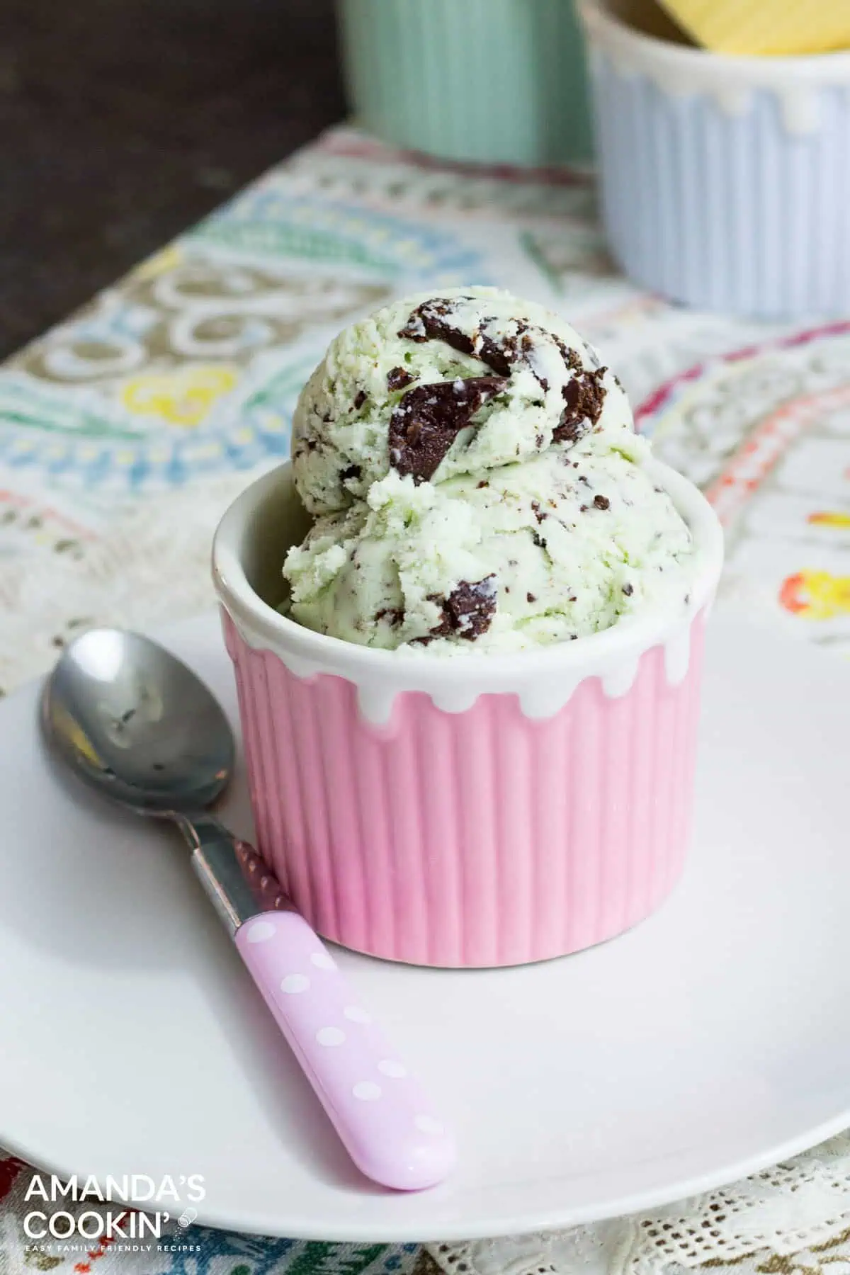 mint chocolate chip ice cream V2