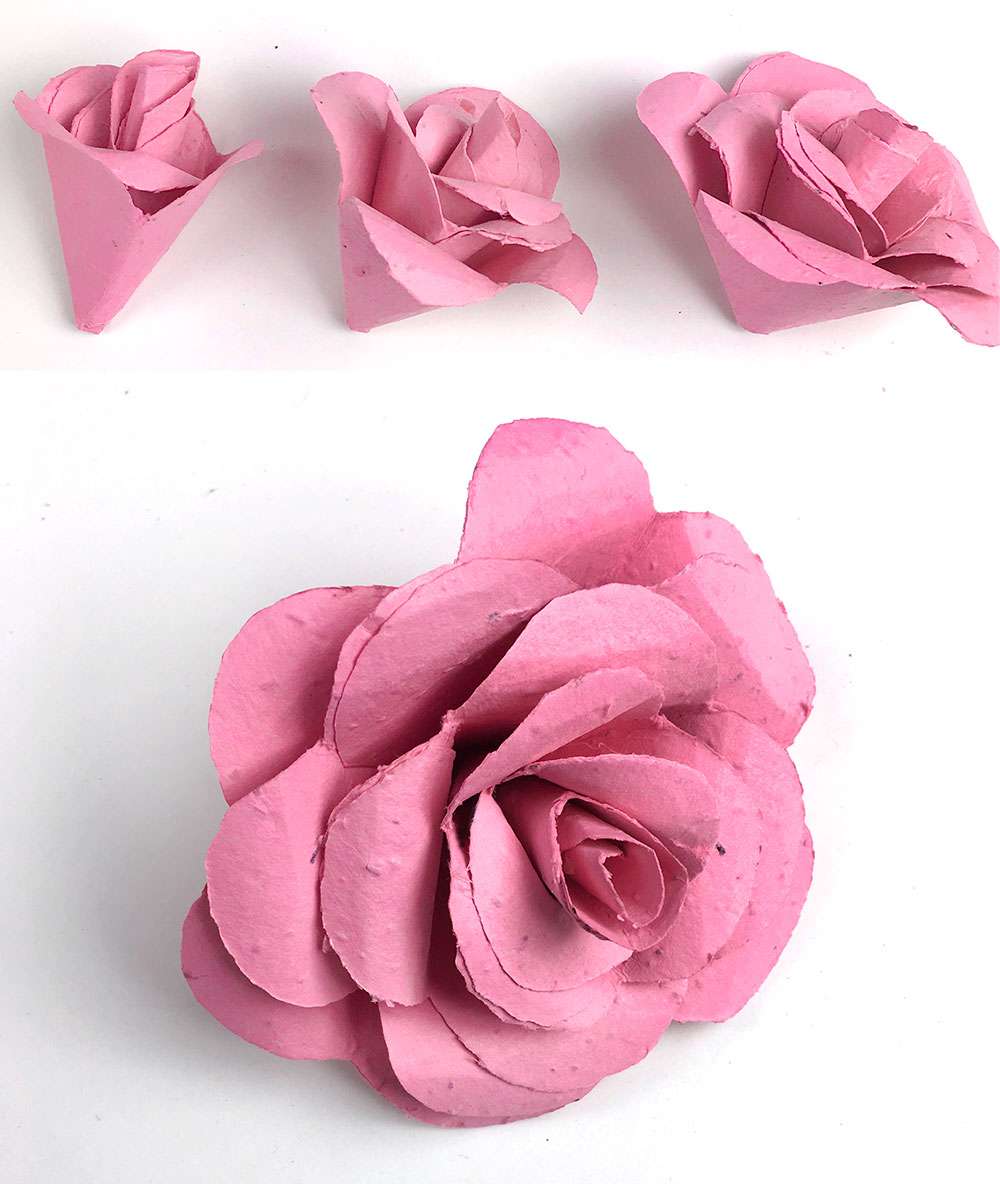 seed paper roses craft step 14