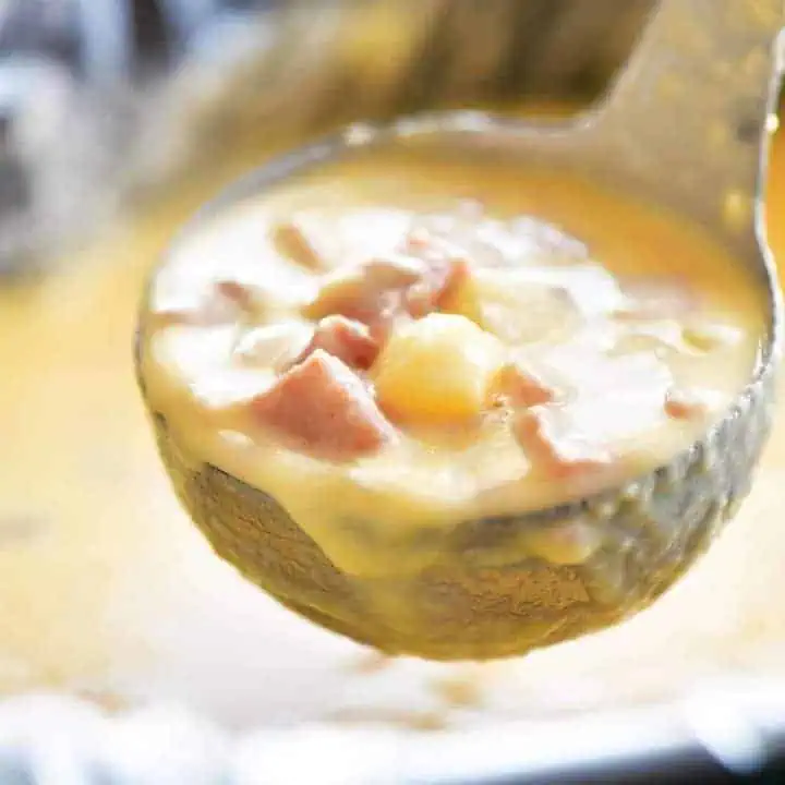 Slow Cooker Ham and Cheese Soup Recipe