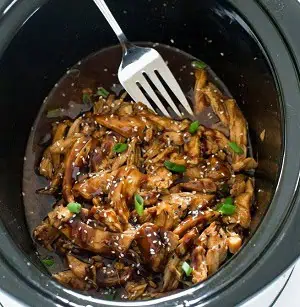 crockpot honey garlic chicken