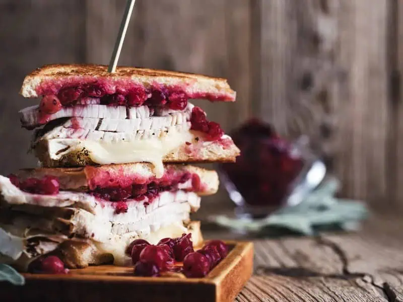 image 3548 - Leftover turkey is as universal a Thanksgiving tradition as celebrating Thanksgiving at all. Finding new ways to eat leftover turkey has yielded some delicious recipes…like this one. Turkey Brie Cranberry Panini pairs juicy turkey with elegant, creamy cheese and the crimson sweet tartness of cranberry sauce in a crispy toasted sandwich. This is a rich and classy way to make your leftovers exciting again! Plus, it only takes 10 minutes to make a Turkey Brie Cranberry Panini, so you can enjoy what looks and tastes like a fancy lunch for one with speed.