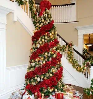 Poinsettia Tree