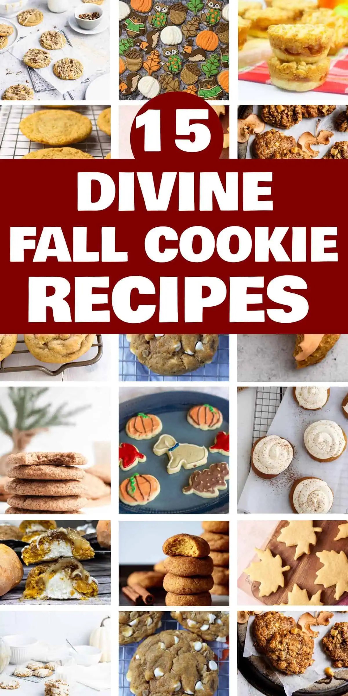 15 Delicious Fall Cookie Recipesjpeg