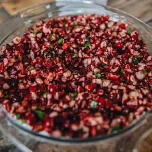 1 Holiday Cranberry Dip
