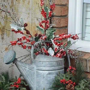 Farmhouse Watering Can