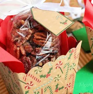 Crockpot Roasted Sugared Pecans