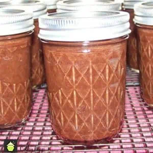 Cathys Apple Butter1