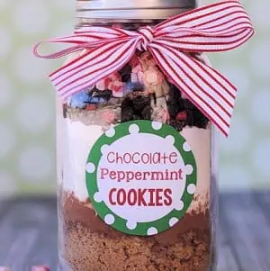 Chocolatepeppermintcookiesinajarrecipe