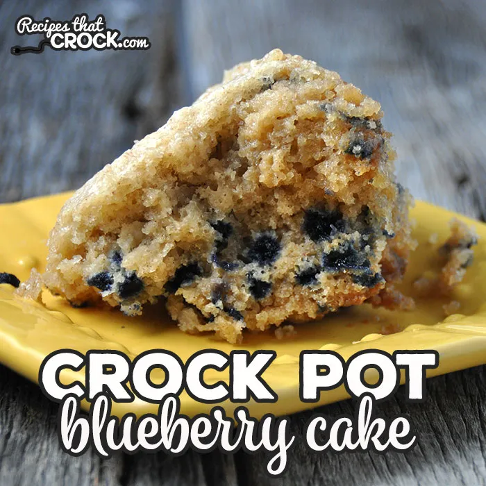 Crock Pot Blueberry Cake SQ