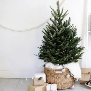 Small and Simple Tree in a Basket