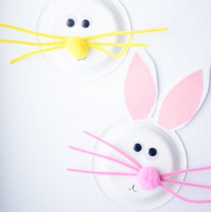 Paper Plate Bunny Craft for kids