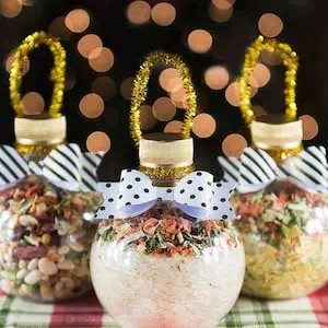 Soup Mix Ornaments Christmas Food Gift