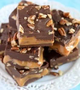 Turtle Fudge