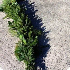 evergreen garland