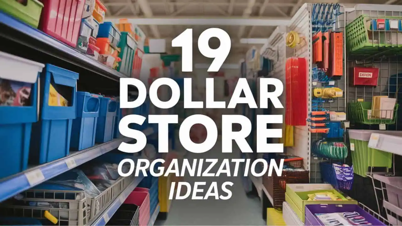 19 Clever Dollar Store Organization Ideas