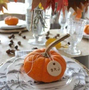 Mini Pumpkin Place cards