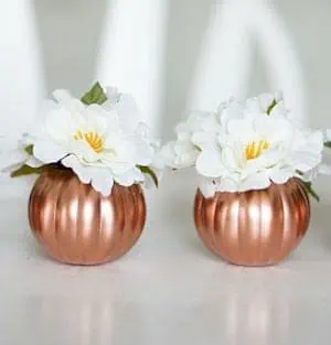 copper pumpkins with magnolia flowers