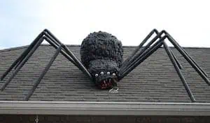 2 giant spider