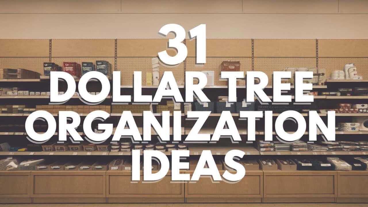 31 Budget-Friendly Dollar Tree Organization Ideas