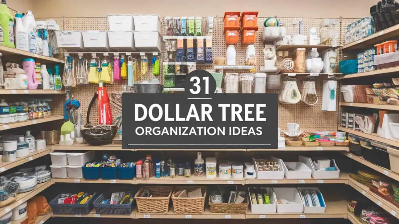 31 Clever Dollar Tree Pantry Organization Ideas - Dollar Tree Pantry Organization Ideas can transform your kitchen storage with budget-friendly solutions. Whether you're dealing with a small space or simply need to bring order to your pantry, these ideas are both practical and affordable.