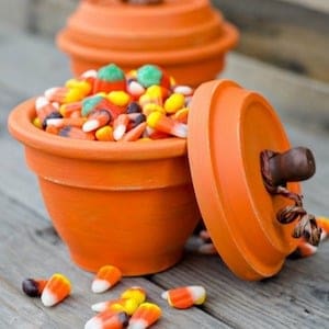 DIY Pumpkin Terracotta Pots 1