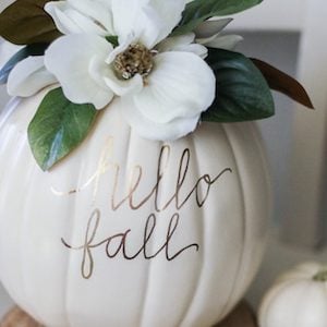 White Magnolia Pumpkin 