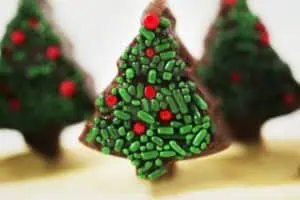 Easy Christmas Fudge with Spirnkles 