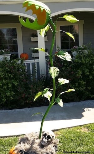 7-Foot "Man-Eating Monster Plant"